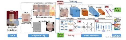 嵌入式技術與物聯網開發 電子技術論壇的網絡服務新篇章